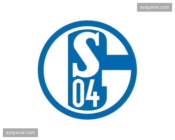 青训报告：多家德甲俱乐部加强与美国大学足球的人才合作计划